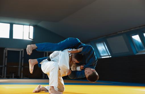 judo 